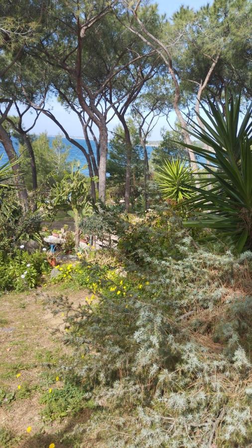 Casa Vacanze Cettina Home 3 Mt 50 Dal Mare Terra Mala Exterior photo